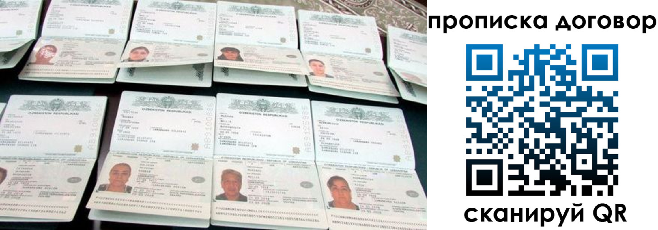 прописка для школы в Ржеве