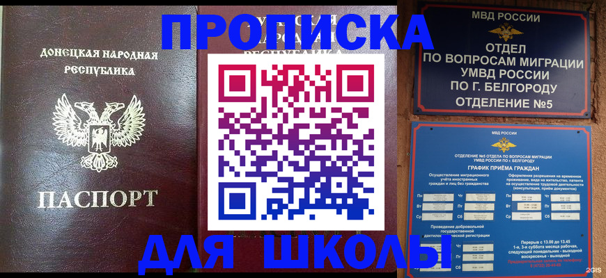 прописка для работы в Ржеве